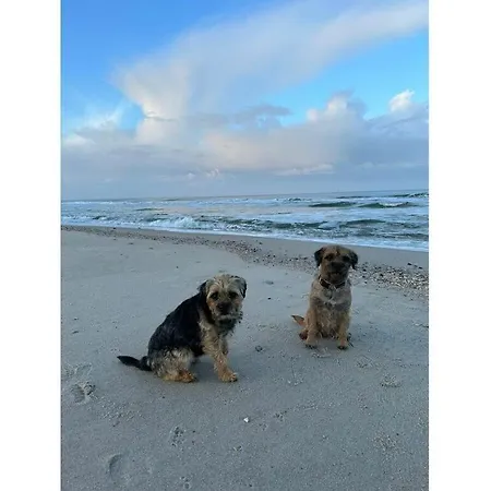 別荘 Hoppe 2 Modern Retreat